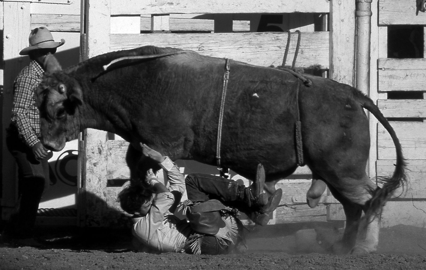 Tucson Rodeo 1961-1986